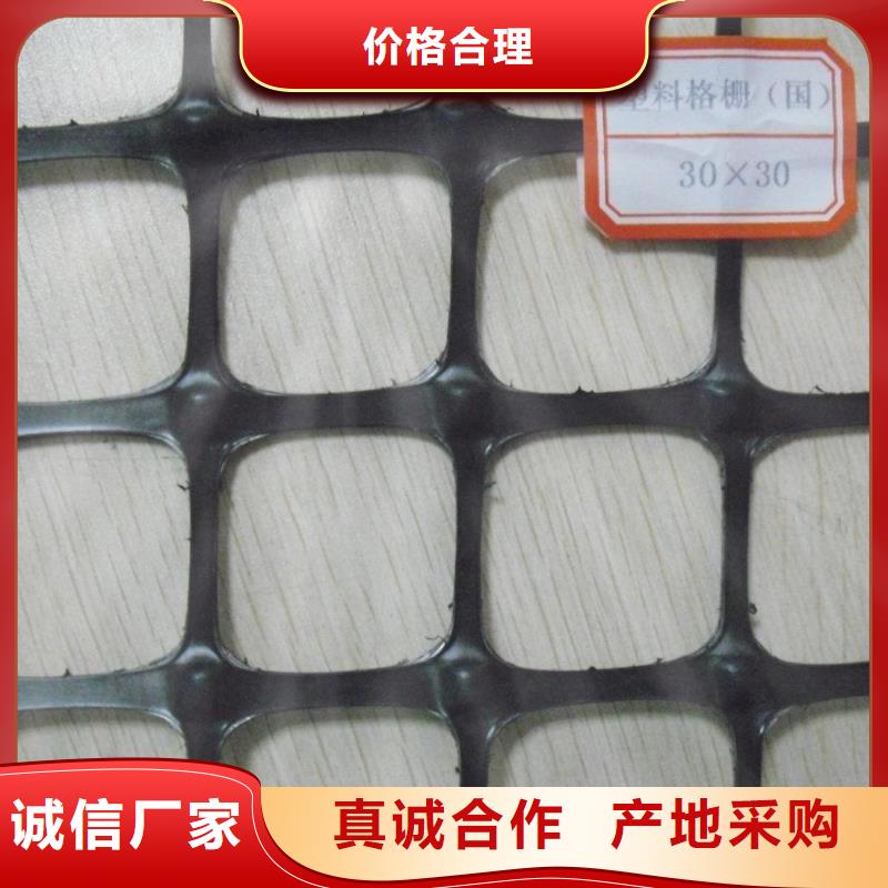 双向塑料土工格栅-涤纶土工格栅专业生产制造厂
