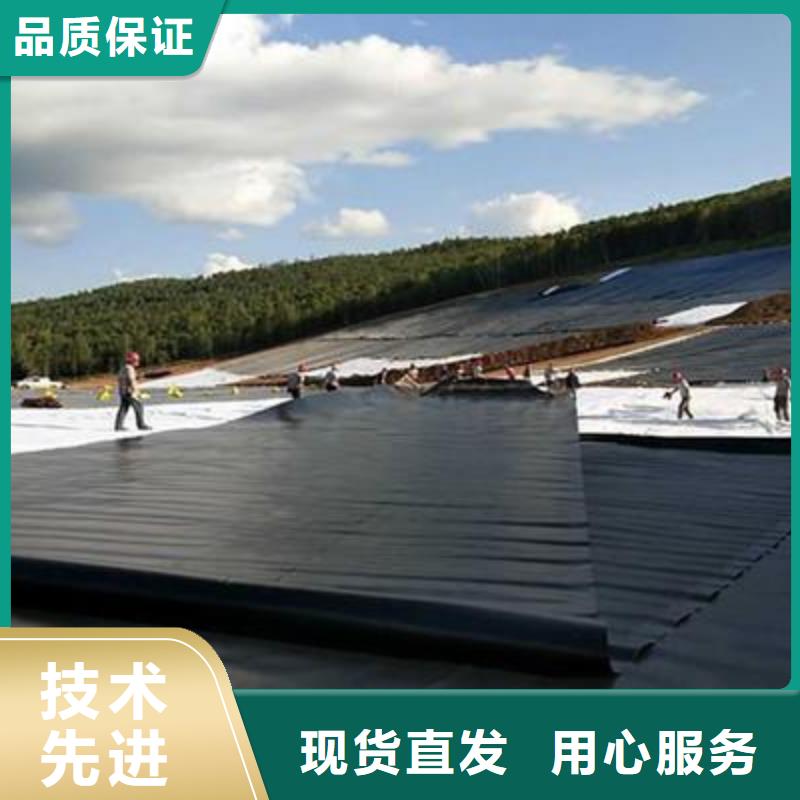土工膜三维复合排水网厂家大量现货