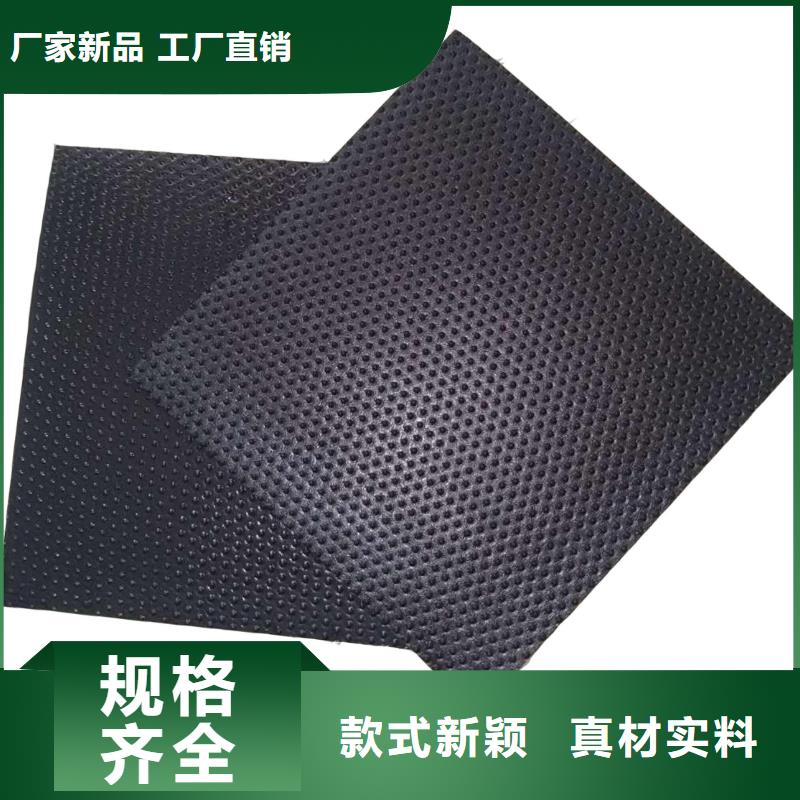 土工膜三维复合排水网厂家大量现货