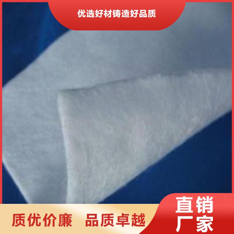 复合土工膜鼎诺土工布【双向拉伸土工格栅】货源稳定
