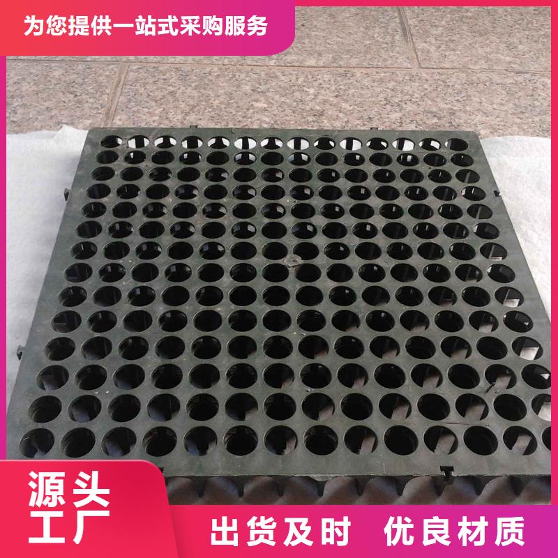 蓄排水板涤纶土工格栅丰富的行业经验