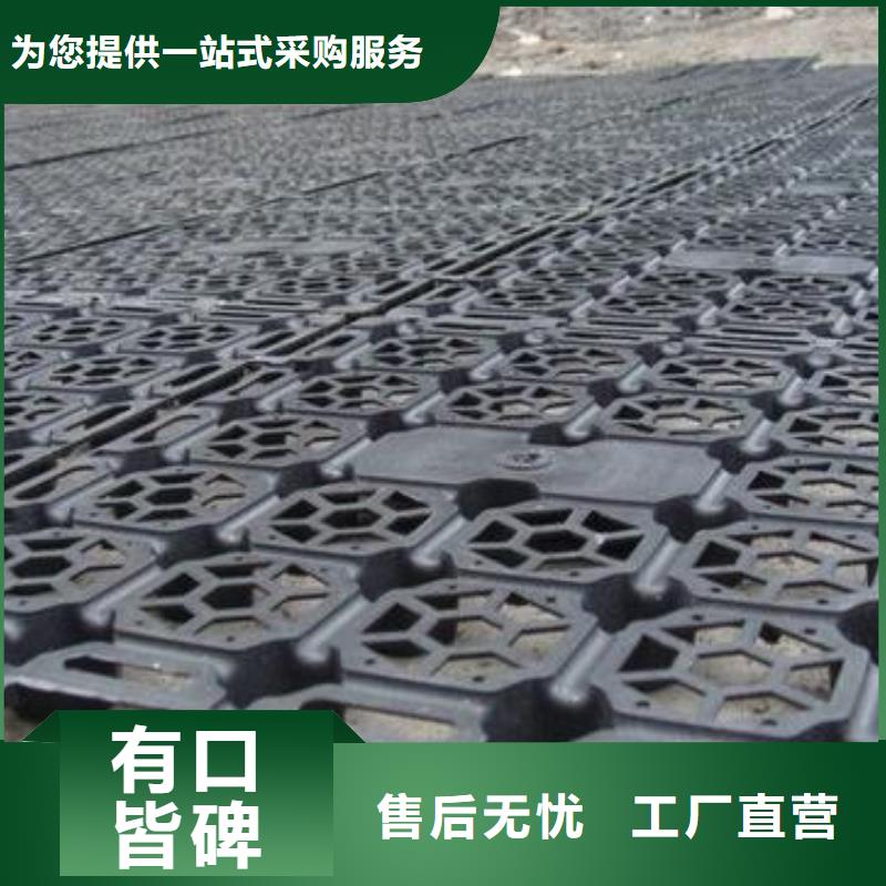 蓄排水板涤纶土工格栅丰富的行业经验