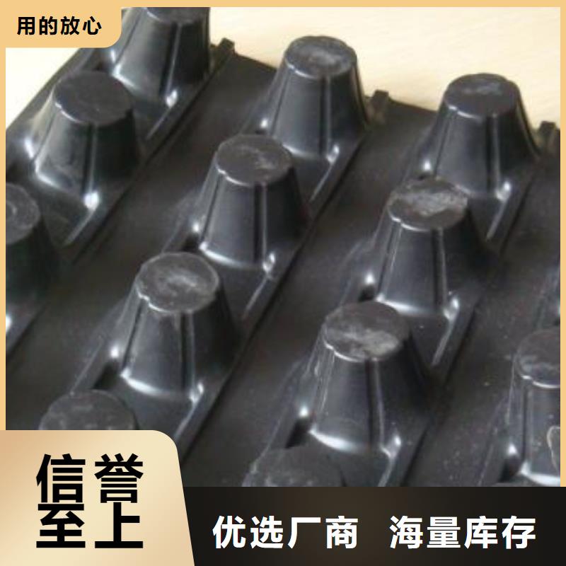 蓄排水板涤纶土工格栅丰富的行业经验