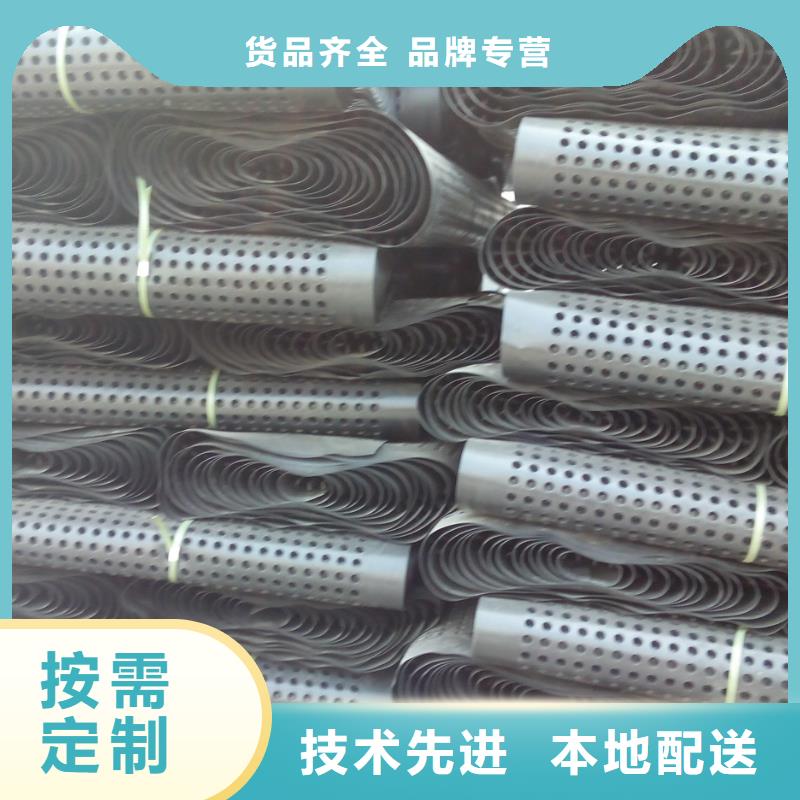 蓄排水板复合土工膜敢与同行比服务