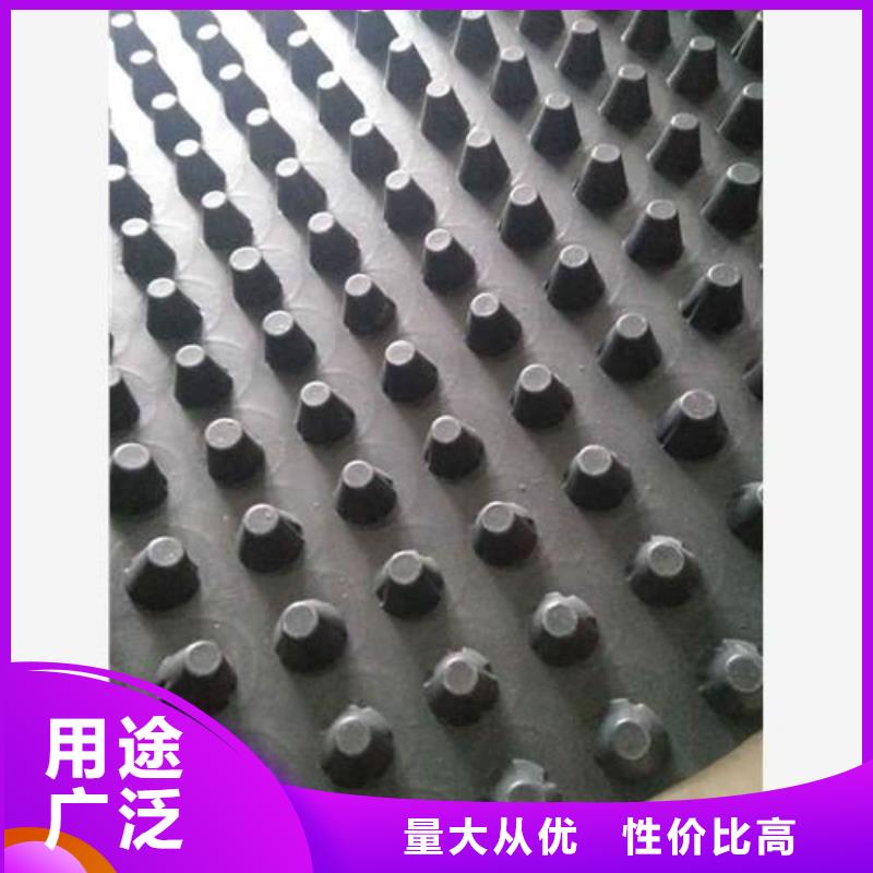 蓄排水板复合土工膜敢与同行比服务