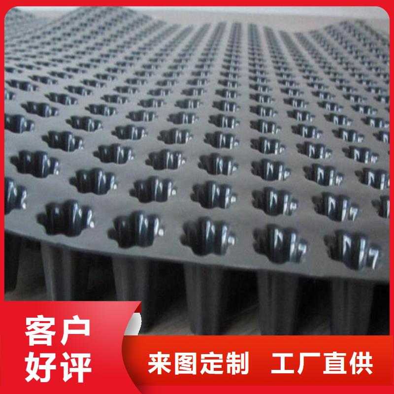 蓄排水板涤纶土工格栅丰富的行业经验