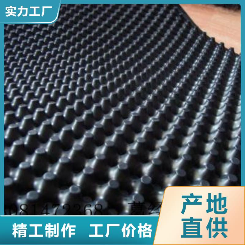 蓄排水板复合土工膜敢与同行比服务