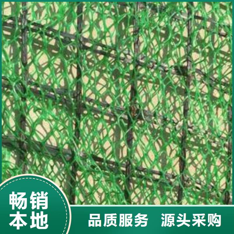 万山|碧江|贵阳|遵义|六盘水|安顺|黔西南三维植被网 【三维复合排水网】一站式采购方便心-鼎诺