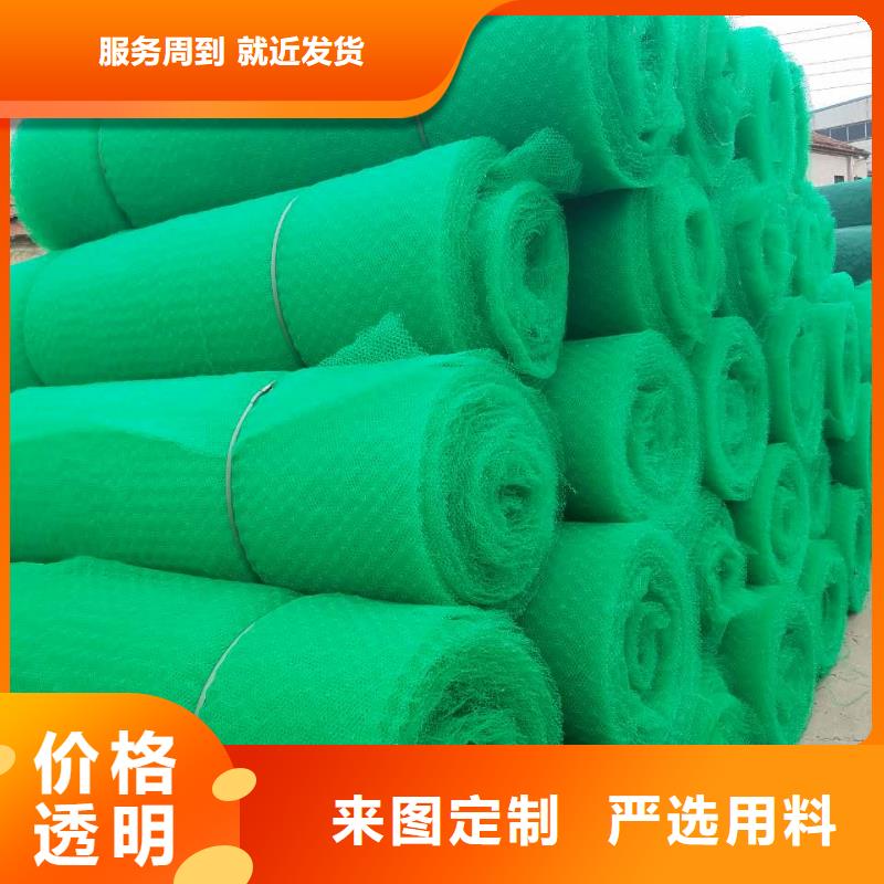 万山|碧江|贵阳|遵义|六盘水|安顺|黔西南三维植被网 【三维复合排水网】一站式采购方便心-鼎诺