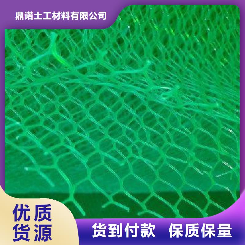 万山|碧江|贵阳|遵义|六盘水|安顺|黔西南三维植被网 【三维复合排水网】一站式采购方便心-鼎诺