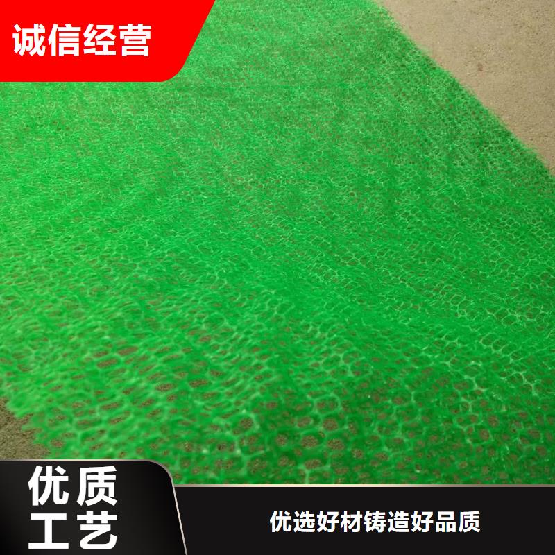 万山|碧江|贵阳|遵义|六盘水|安顺|黔西南三维植被网 【三维复合排水网】一站式采购方便心-鼎诺