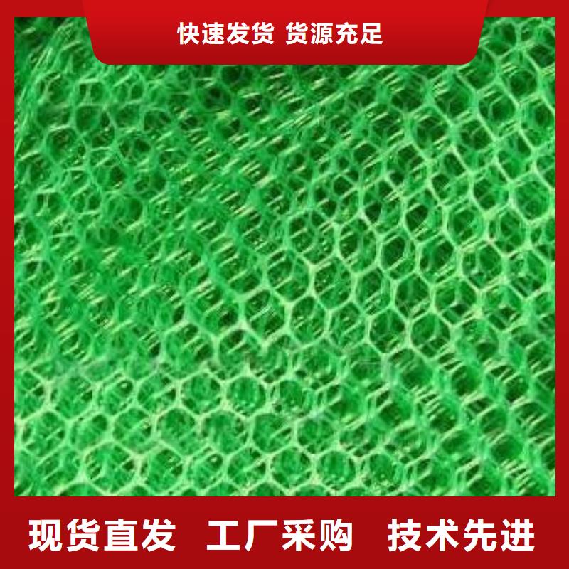 万山|碧江|贵阳|遵义|六盘水|安顺|黔西南三维植被网 【三维复合排水网】一站式采购方便心-鼎诺