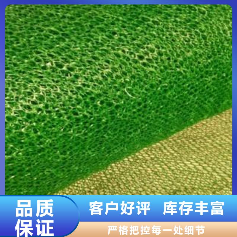 万山|碧江|贵阳|遵义|六盘水|安顺|黔西南三维植被网 【三维复合排水网】一站式采购方便心-鼎诺
