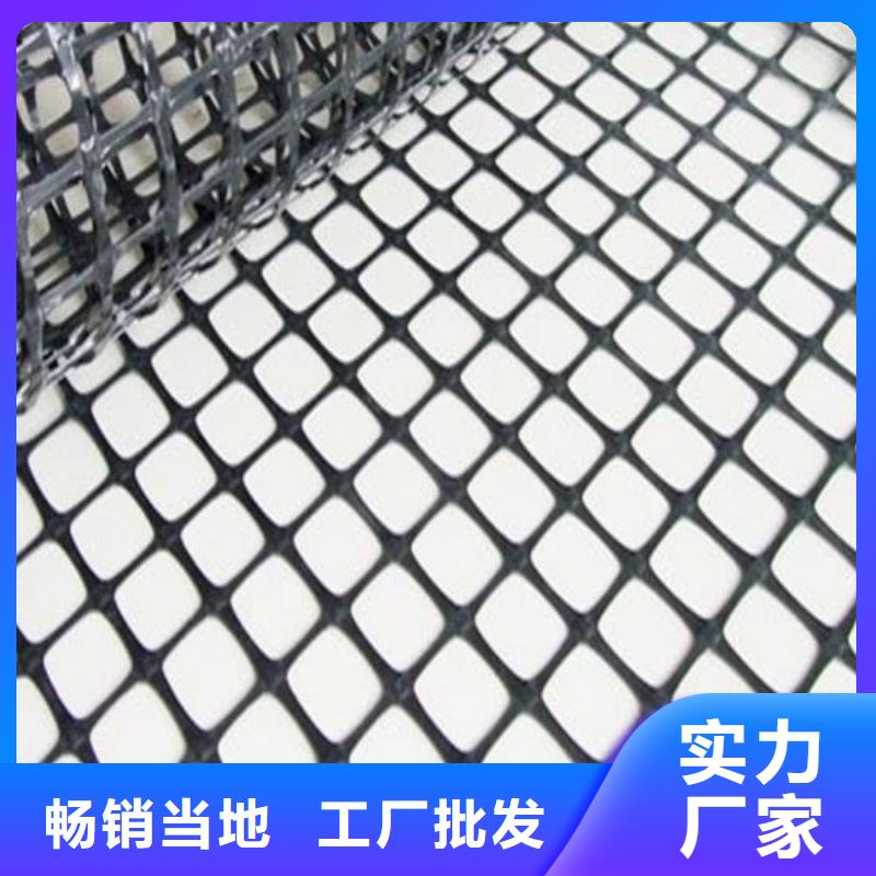 【 玻纤土工格栅_长丝土工布正规厂家】-鼎诺土工材料(齐齐哈尔市分公司)