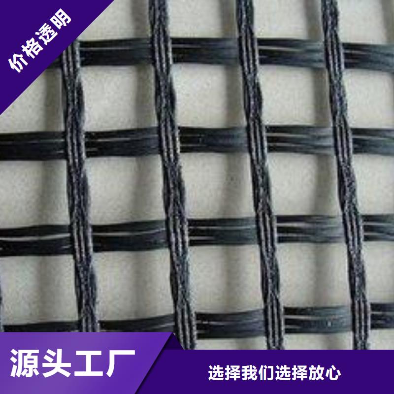【 玻纤土工格栅_长丝土工布正规厂家】-鼎诺土工材料(齐齐哈尔市分公司)