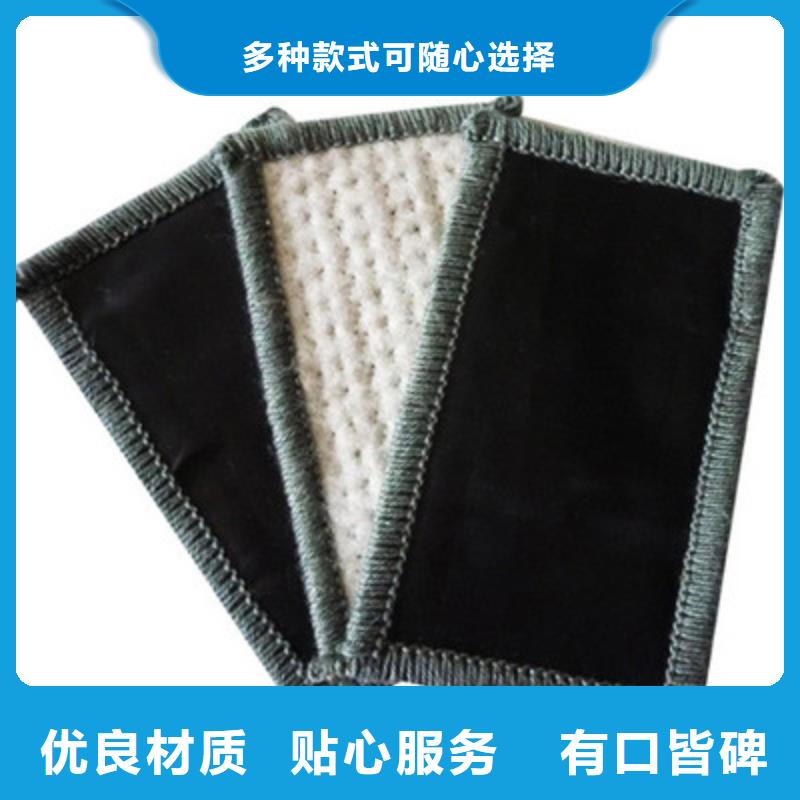 膨润土防水毯三维土工网垫厂家