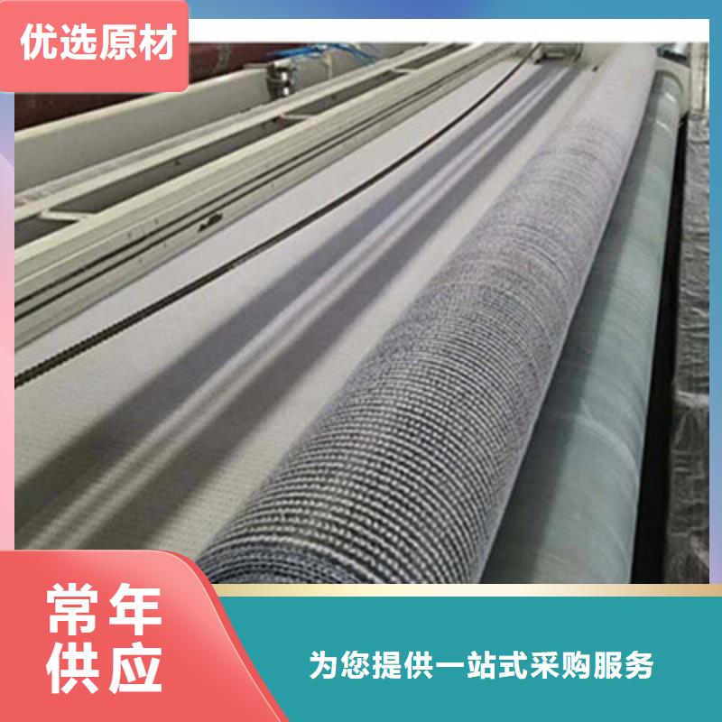 膨润土防水毯三维土工网垫厂家