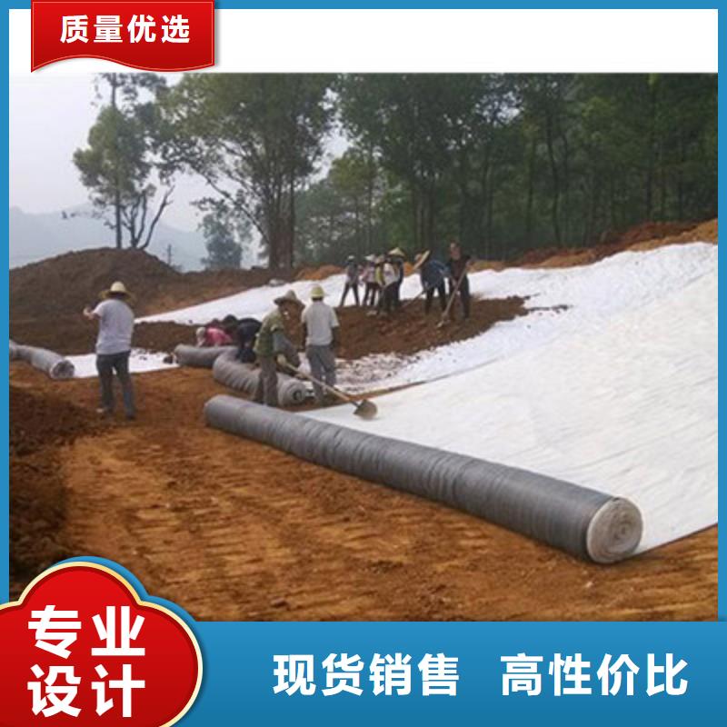 膨润土防水毯三维土工网垫厂家