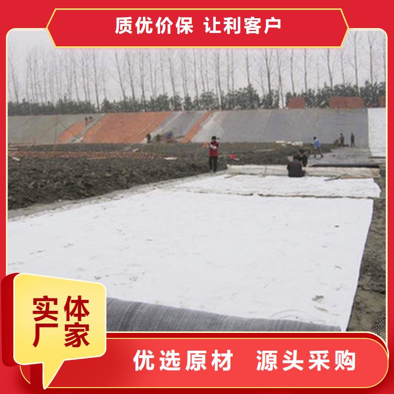 膨润土防水毯,土工格栅快速生产