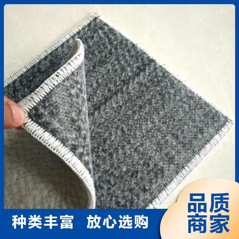 膨润土防水毯三维土工网垫厂家