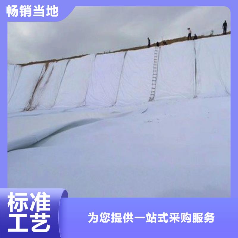 土工膜_防渗膜_长丝土工布_复合土工膜
