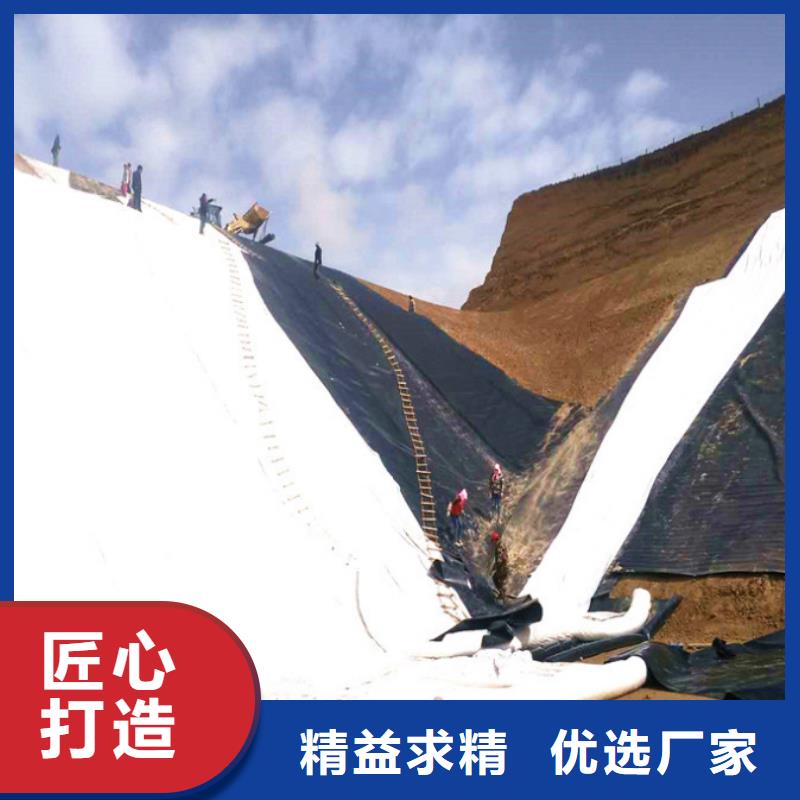 土工膜_防渗膜_长丝土工布_复合土工膜