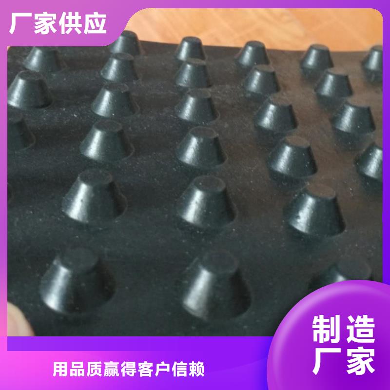 塑料排水板三维土工网垫有口皆碑