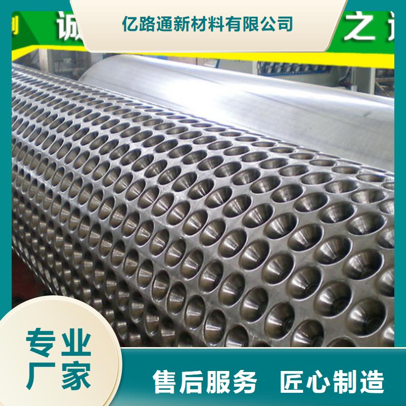 塑料排水板三维土工网垫有口皆碑