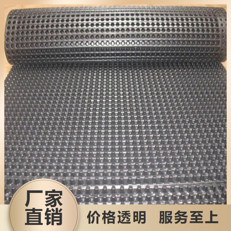 塑料排水板三维土工网垫有口皆碑
