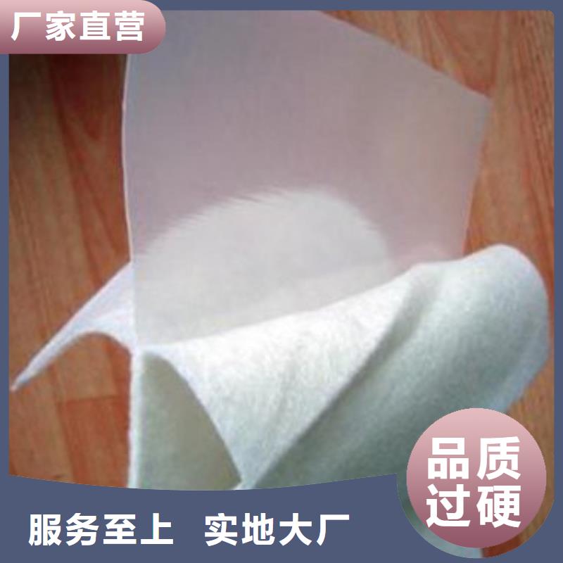 土工膜鱼塘甲鱼-养殖膜-复合土工膜