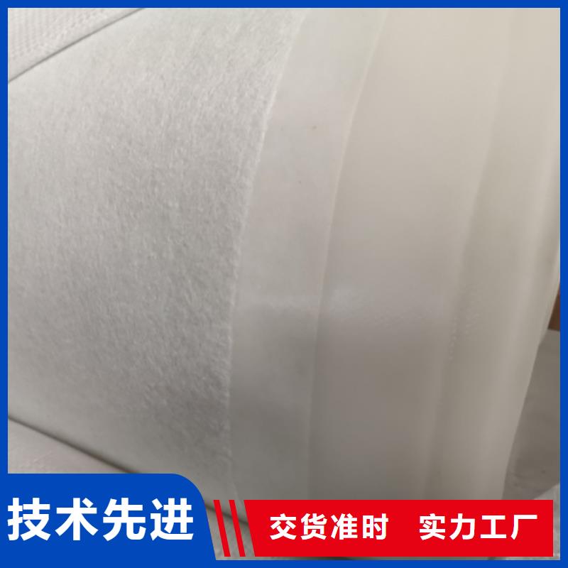 土工膜垃圾填埋沼气池