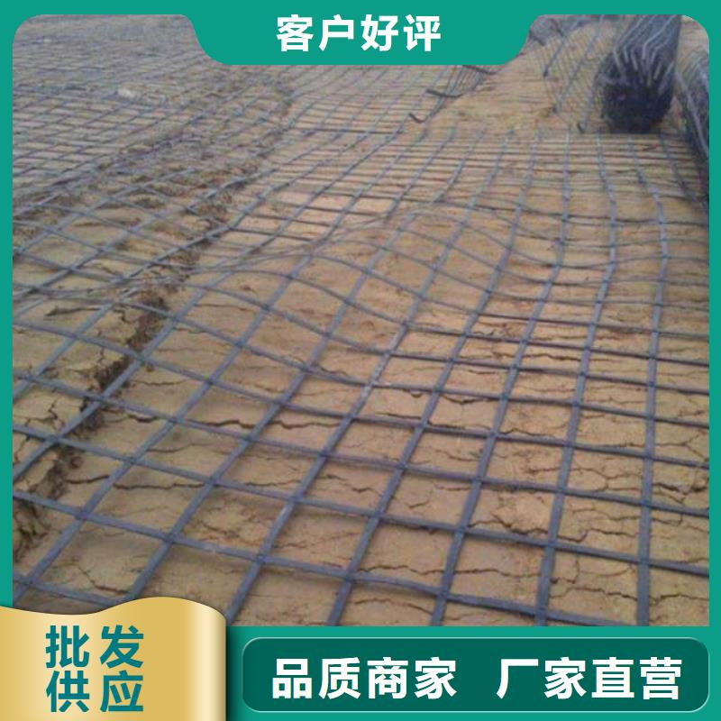 土工格栅凸结点钢塑土工格栅多种规格可选