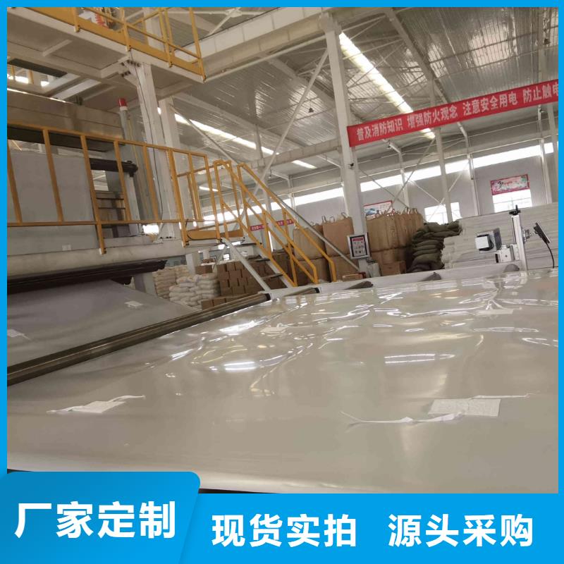 EVA防水板【钢塑土工格栅厂家】款式多样
