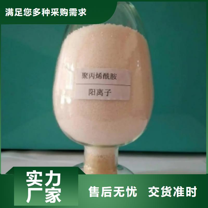 【聚丙烯酰胺泡沫滤珠定制定做】