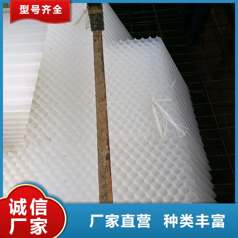 斜管填料活性炭优选货源