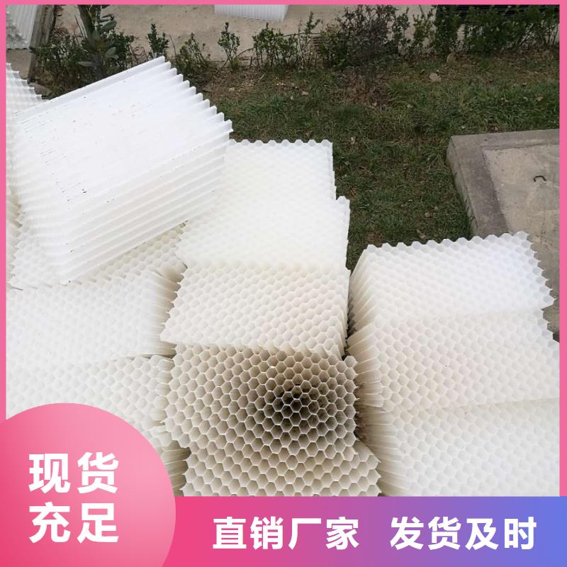 斜管填料活性炭优选货源