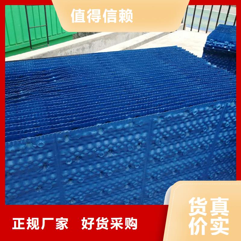 斜管填料活性炭优选货源