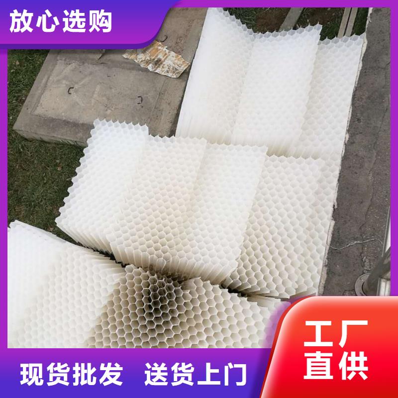 斜管填料活性炭优选货源