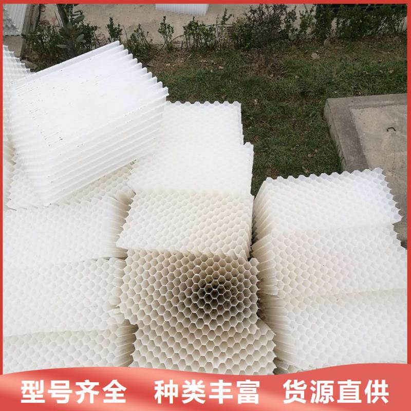 斜管填料活性炭优选货源