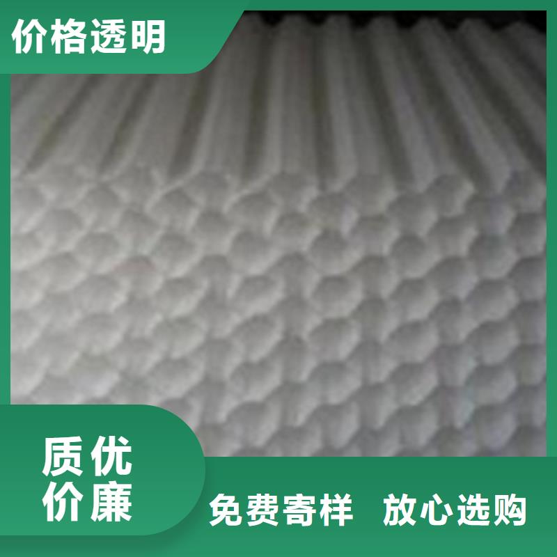 斜管填料活性炭优选货源
