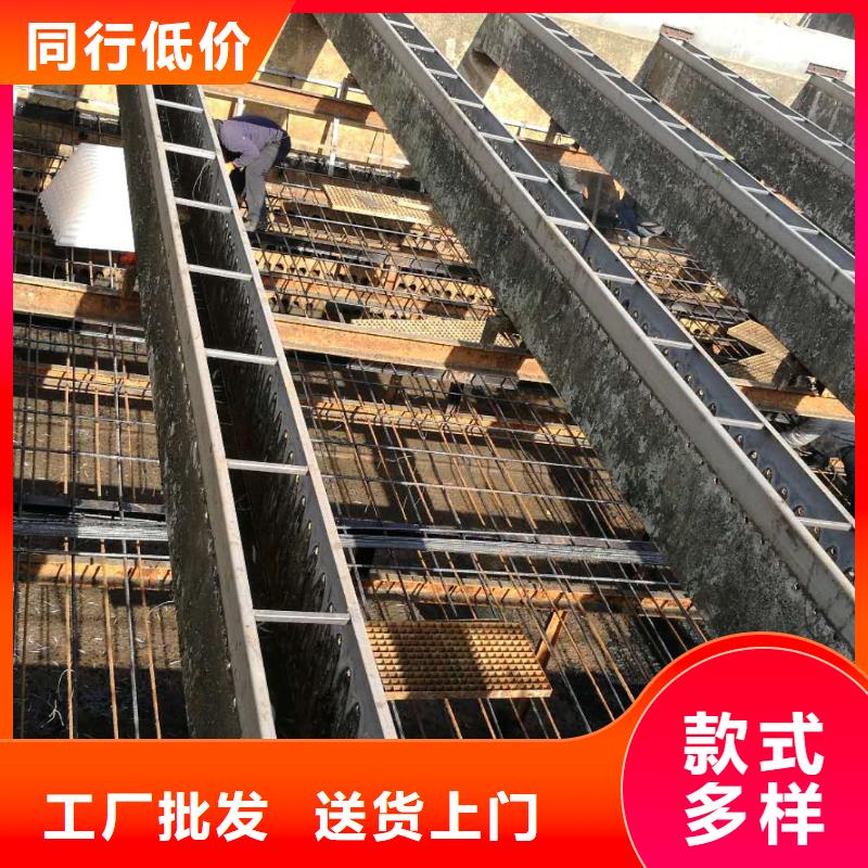 斜管填料活性炭优选货源