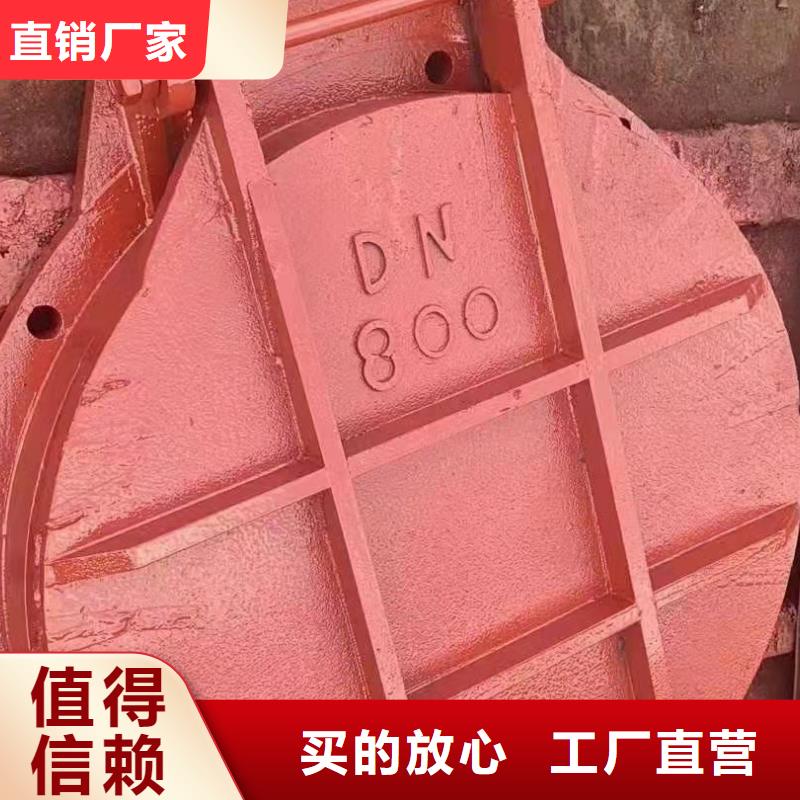 球墨铸铁闸门、球墨铸铁闸门供应商