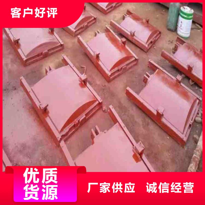 镶铜铸铁闸门现货促销