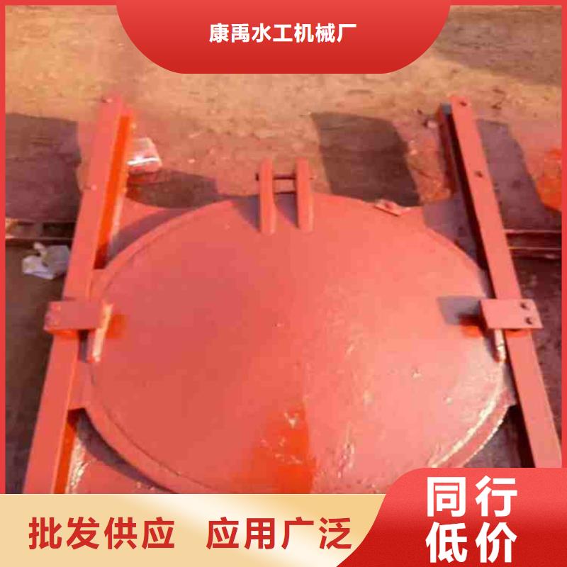泵站鑄鐵閘門-泵站鑄鐵閘門性價比高