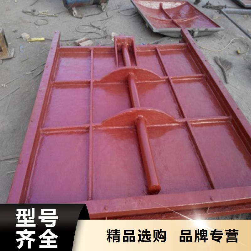 泵站鑄鐵閘門-泵站鑄鐵閘門性價比高