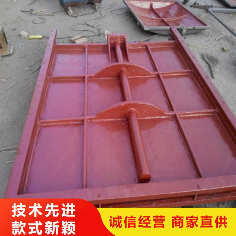 镶铜铸铁闸门现货促销