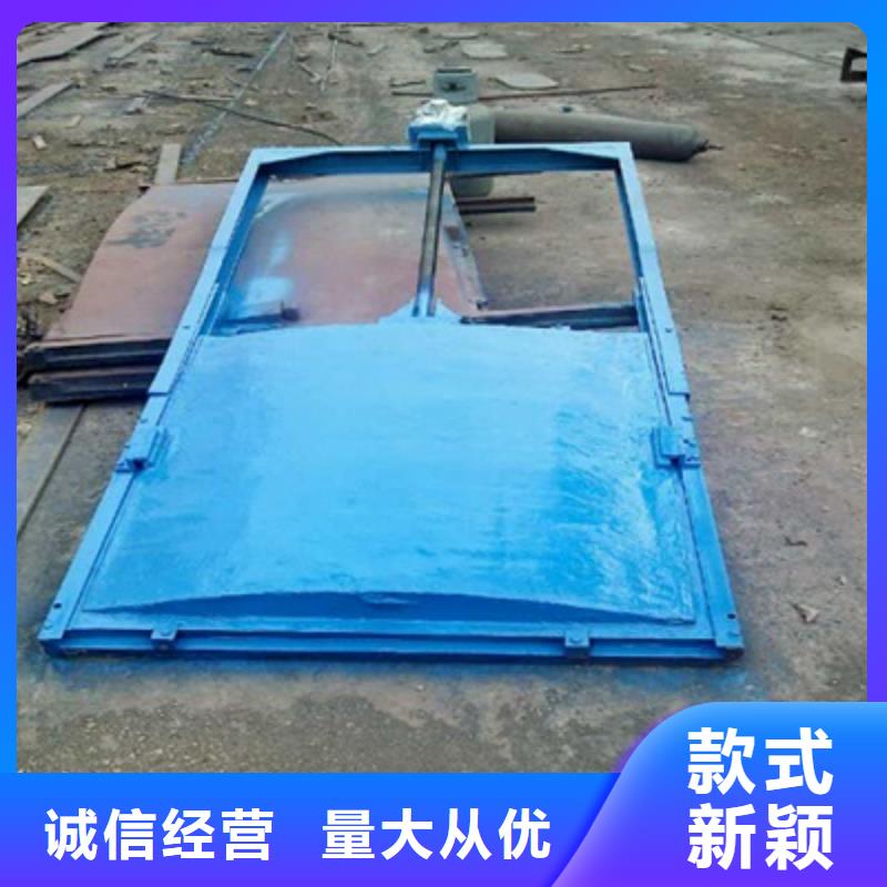 镶铜铸铁闸门现货促销