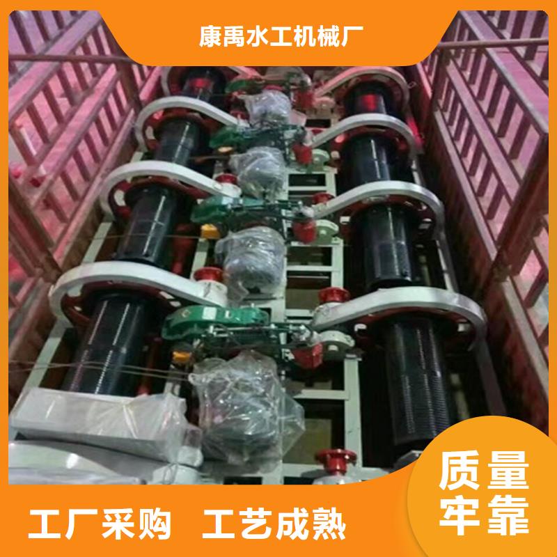 卷扬启闭机多种优势放心选择