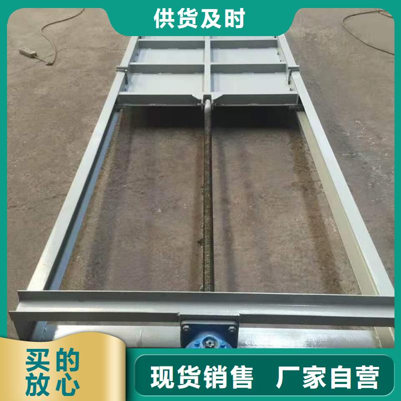 【钢闸门,铸铁拍门一对一为您服务】
