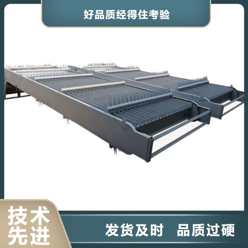 清污机球墨铸铁闸门供您所需